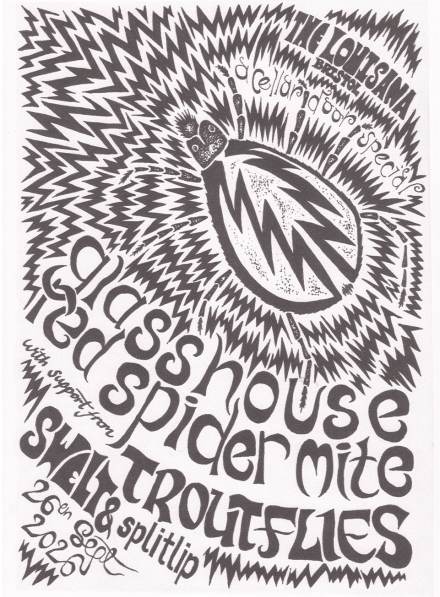 GLASSHOUSE RED SPIDER MITE