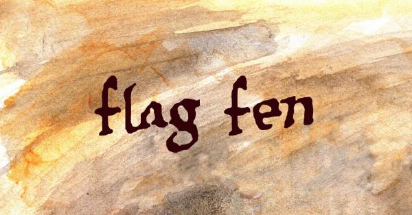 Flag Fen Socially Distanced Show
