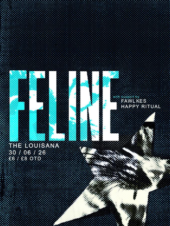 FELINE