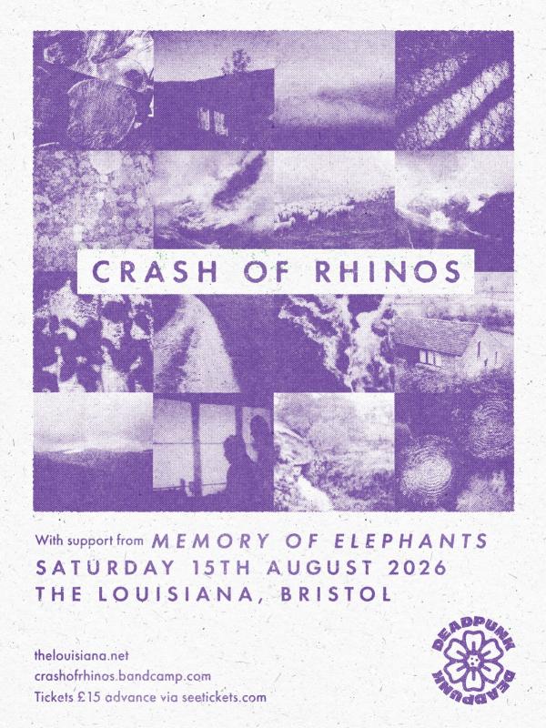 Crash Of Rhinos