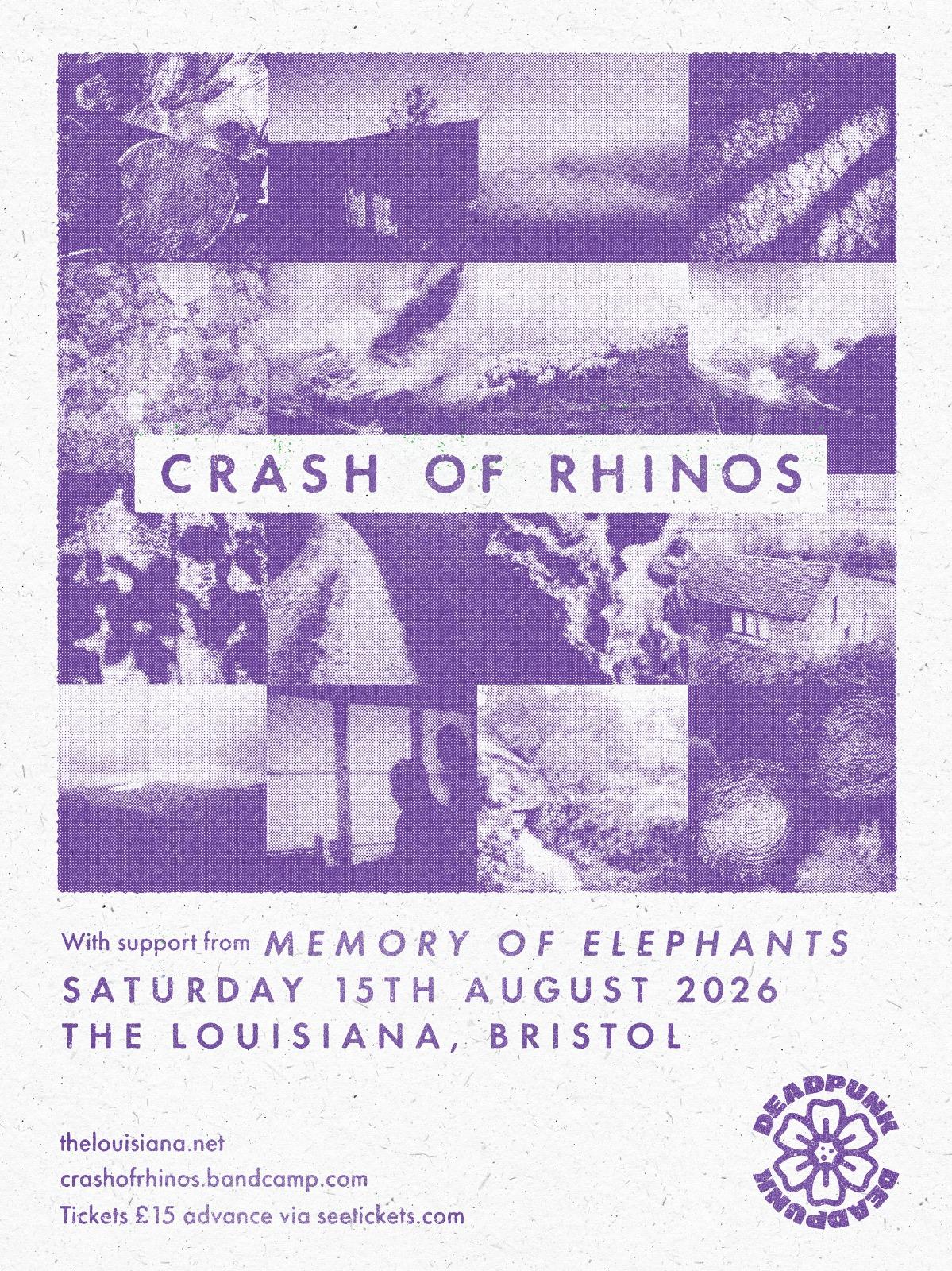 Crash Of Rhinos