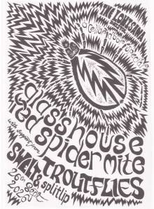 Glasshouse Red Spider Mite