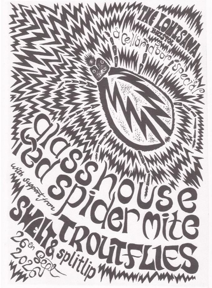 Glasshouse Red Spider Mite