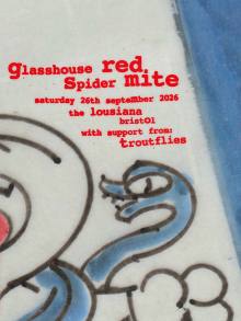 Glasshouse Red Spider Mite