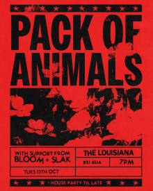 PACK OF ANIMALS