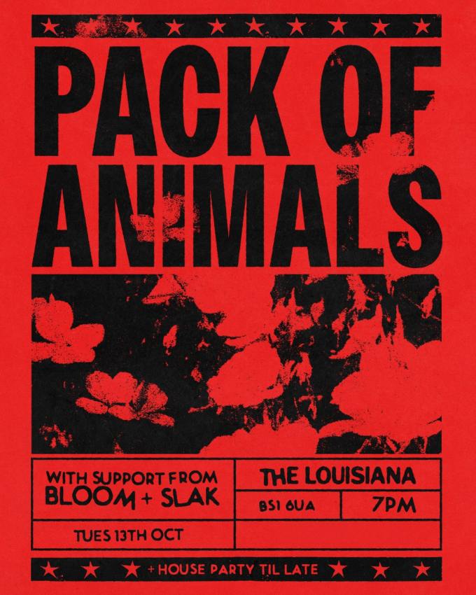PACK OF ANIMALS
