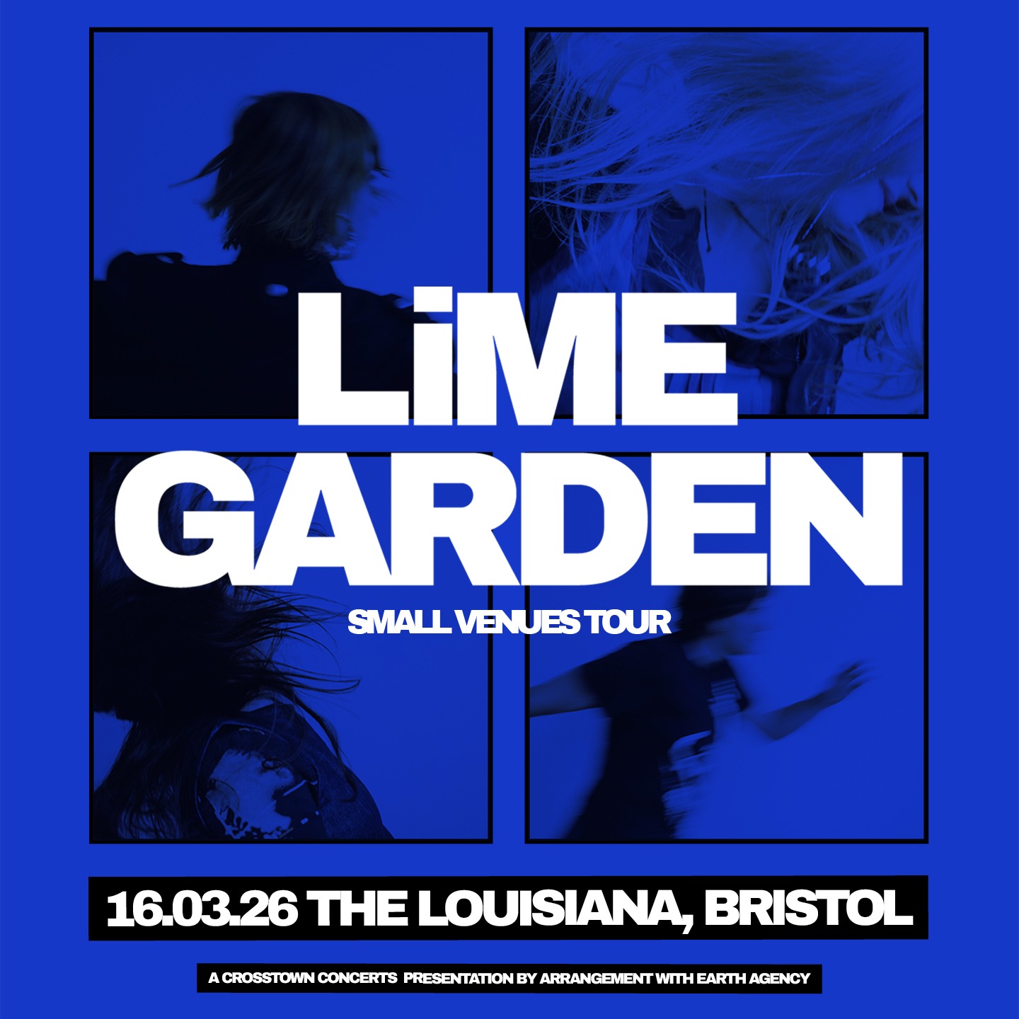 SOLD OUT - Lime Garden